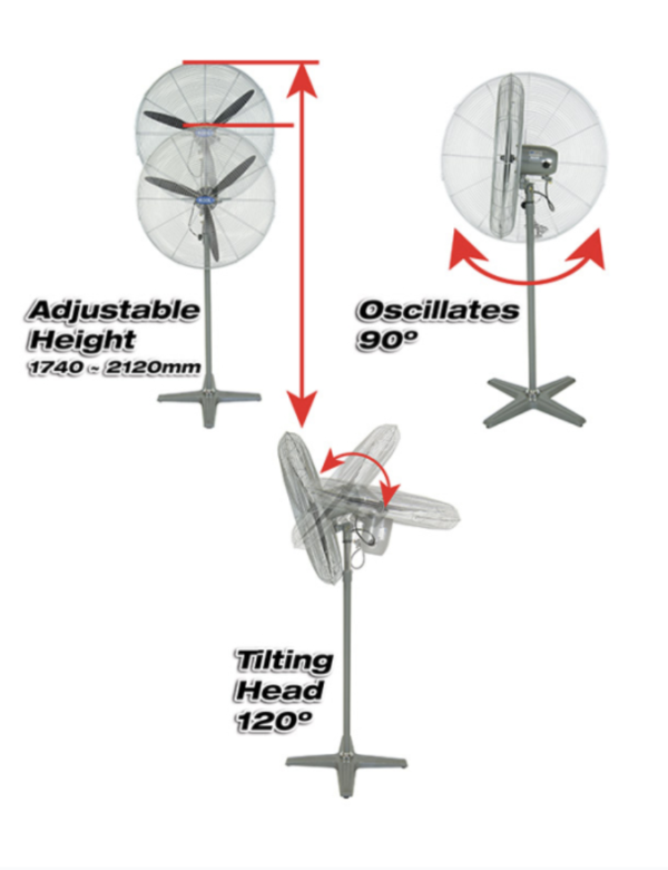 Industrial pedestal fan - 750mm - Image 3